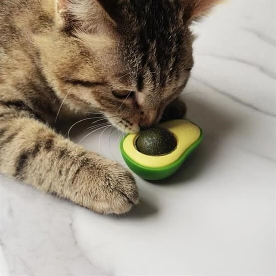 Avokado Model Yapışkanlı Kedi Oyuncağı Yenilebilir Kedi Nanesi Otu Catnip Oyun Yalama Topu